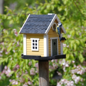 Bird house